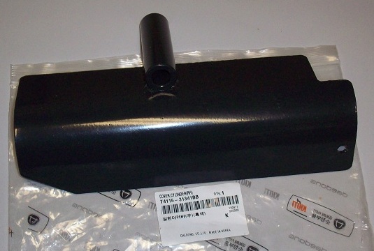 COVER,CYLINDER(RH)